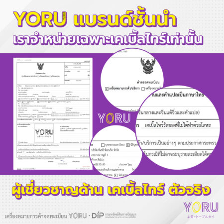 เคเบิ้ลไทร์สีม่วง