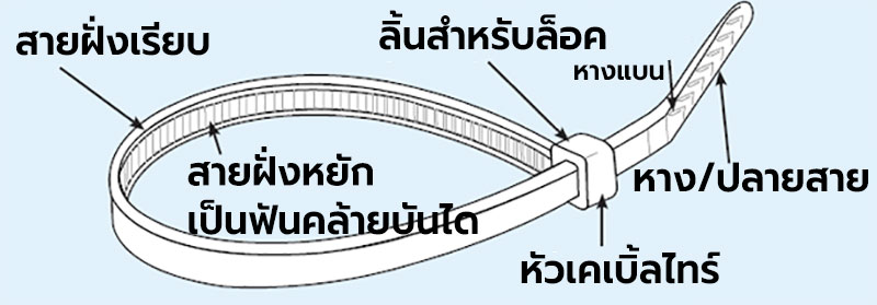 ส่วนประกอบของสายเคเบิ้ลไทร์